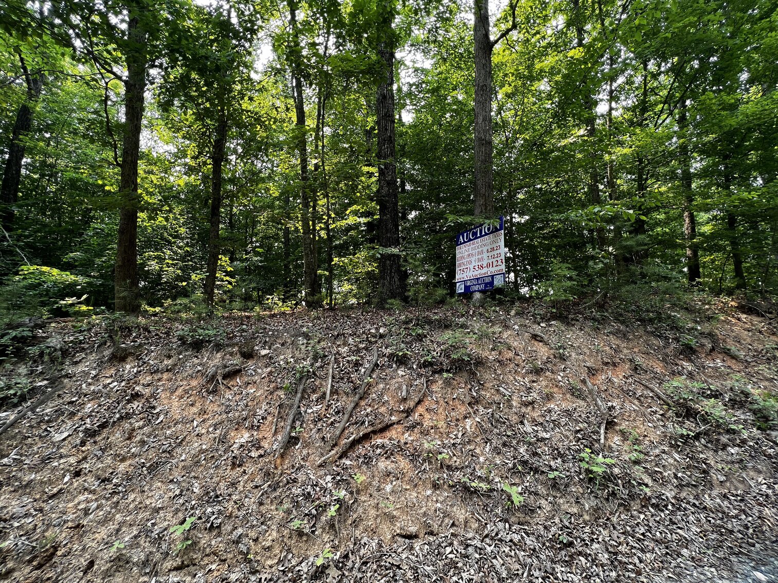 Image for Lot - 5 - (Real) 10.03 acres, more or less, Lot 2A, Pie Island West, on Richards Ferry Road, Tax Map 71-11-A1 (Behind 34160 Richards Ferry Rd., Richardsville)