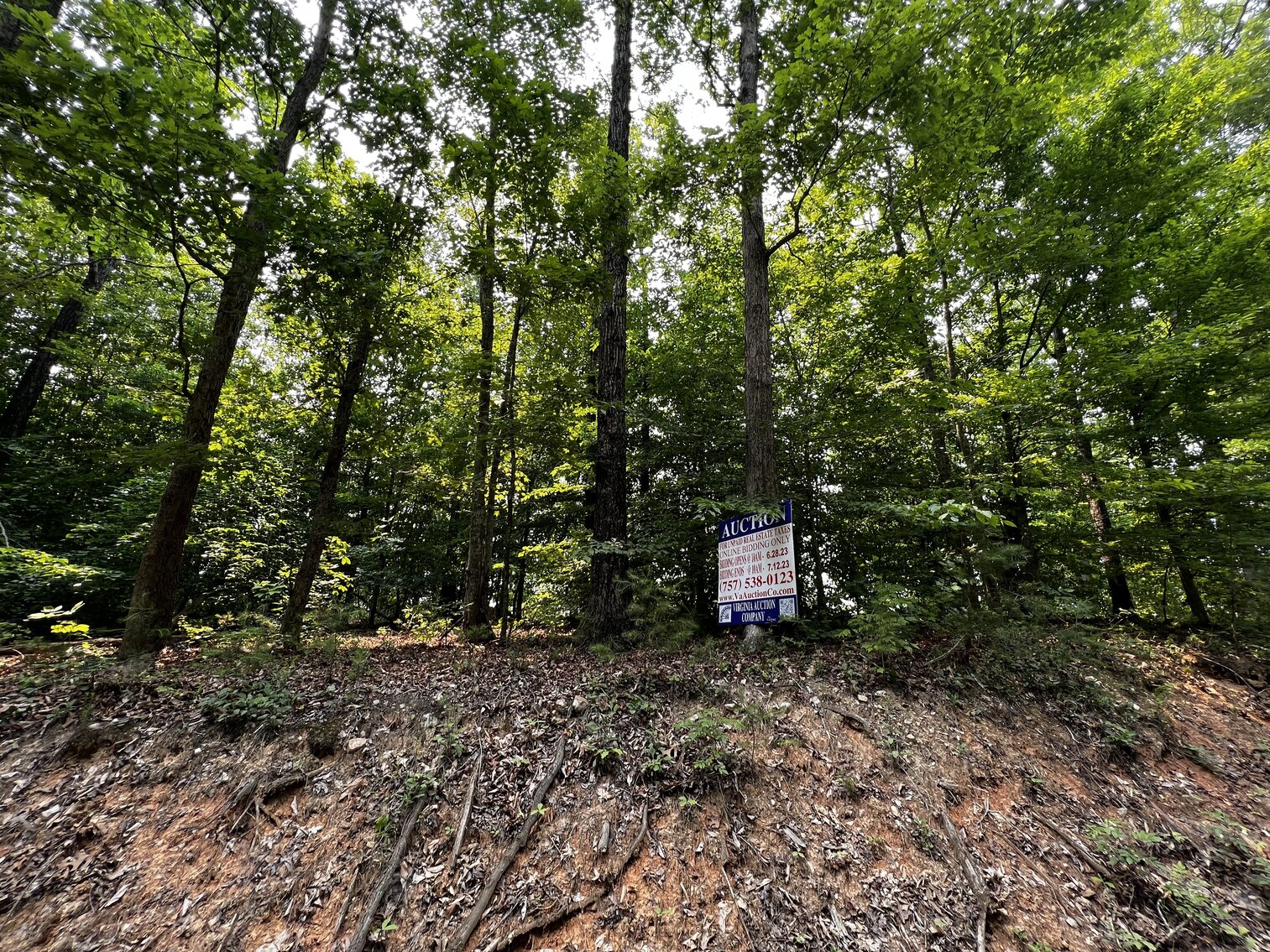 Image for Lot - 5 - (Real) 10.03 acres, more or less, Lot 2A, Pie Island West, on Richards Ferry Road, Tax Map 71-11-A1 (Behind 34160 Richards Ferry Rd., Richardsville)