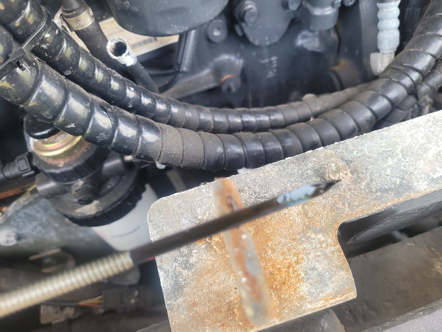 Image for $83,000 OBO | 2021 Case 321F Wheel Loader