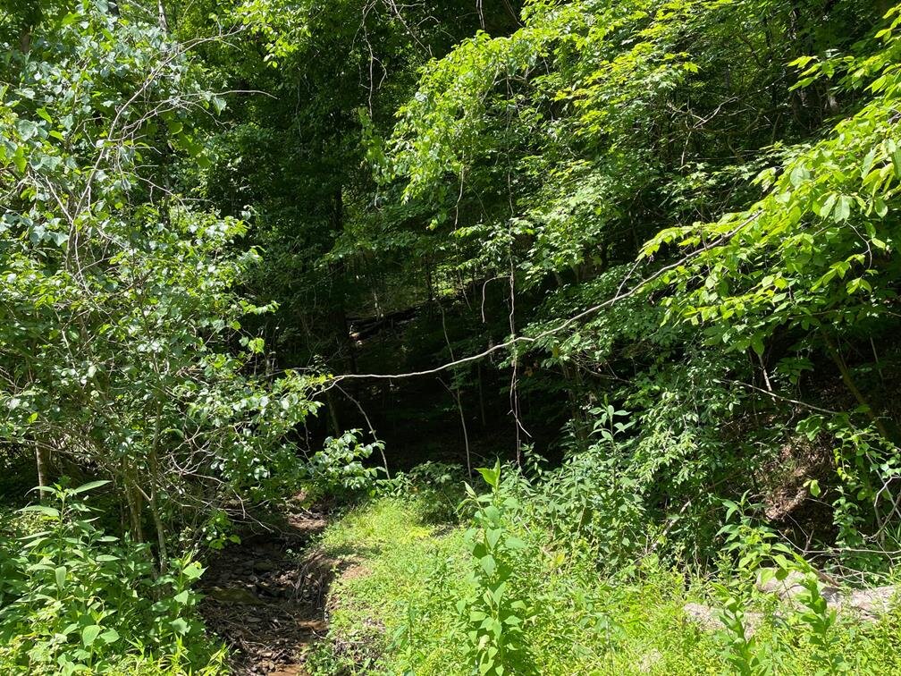 Image for SOLD $17,600 - 15 Acres Selling to the Highest Bidder