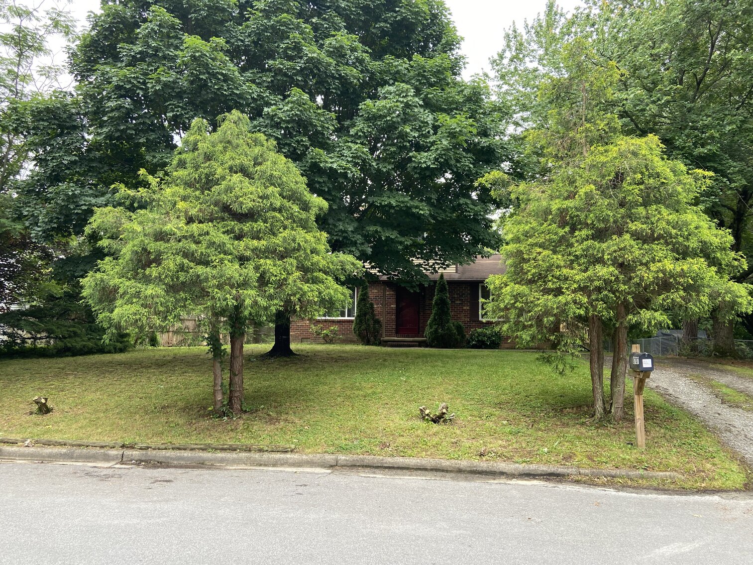 Image for 8707 Pine Top Drive