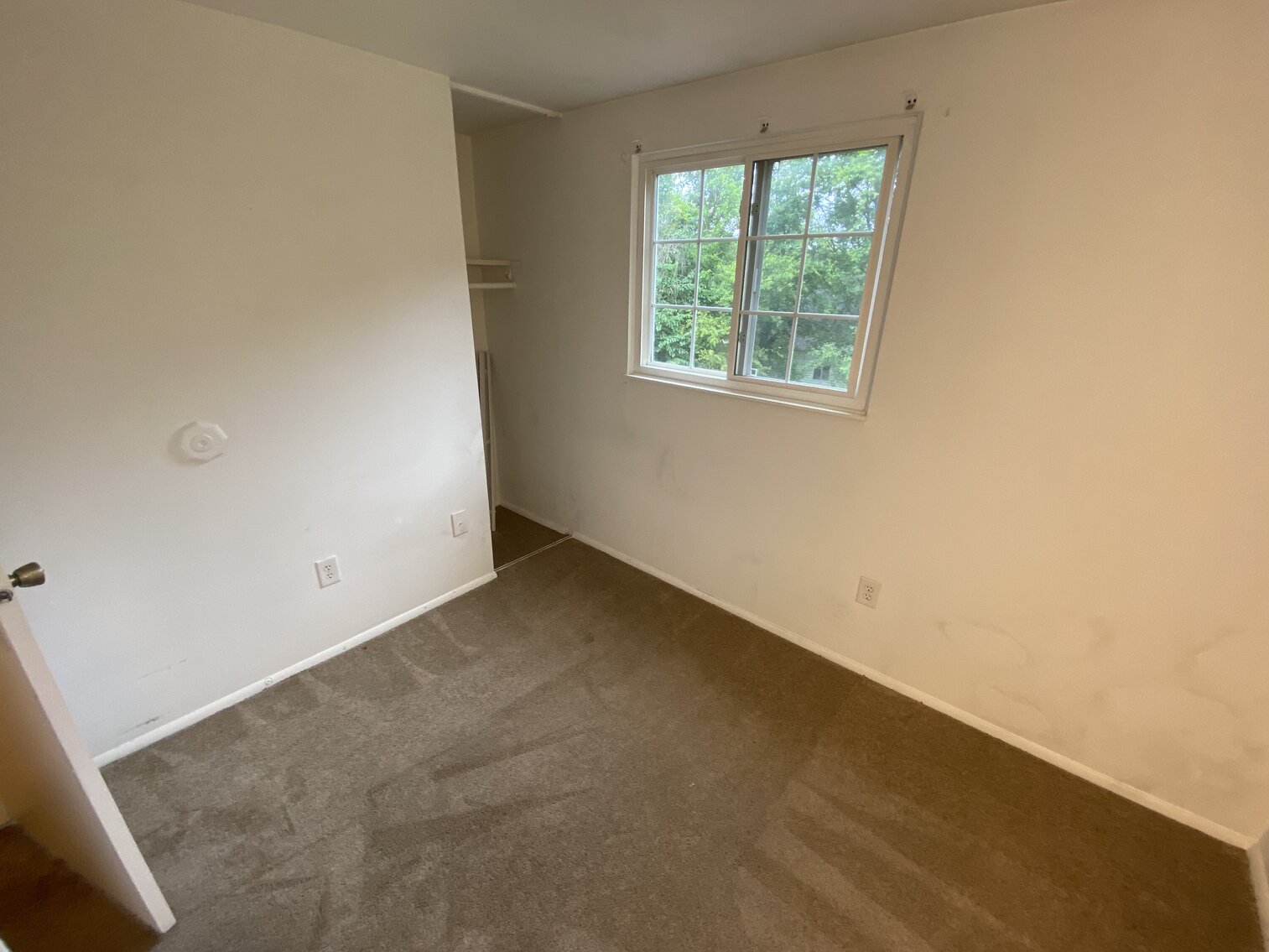 Image for 8707 Pine Top Drive