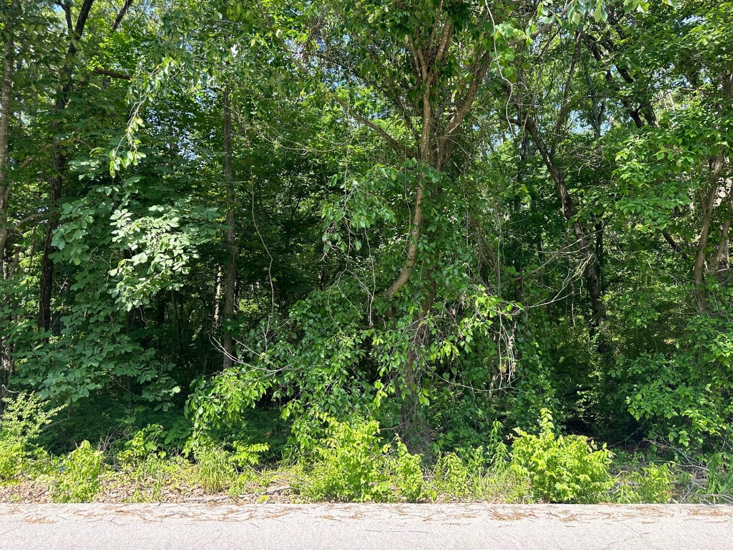 Image for McClintock Property Land Auction