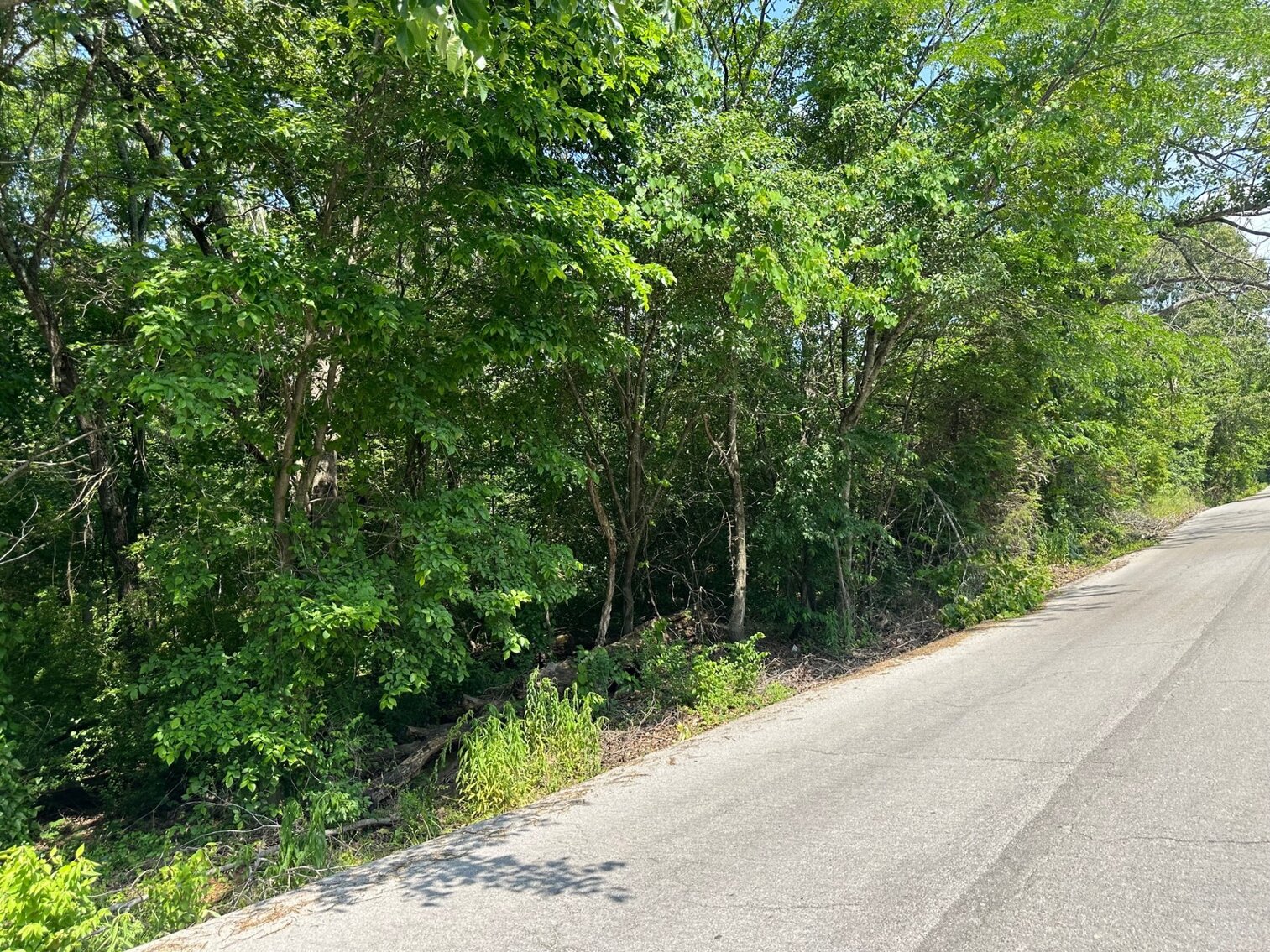 Image for McClintock Property Land Auction