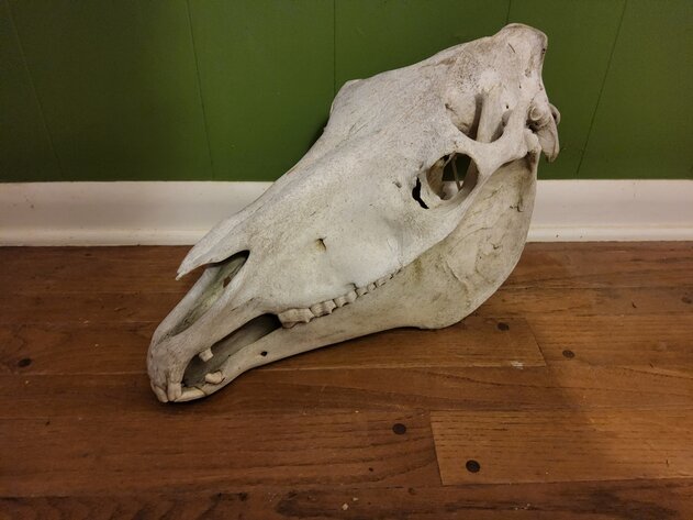 Image for June 17, 2023 10 a.m. Kirby Road Draper Virginia Auction