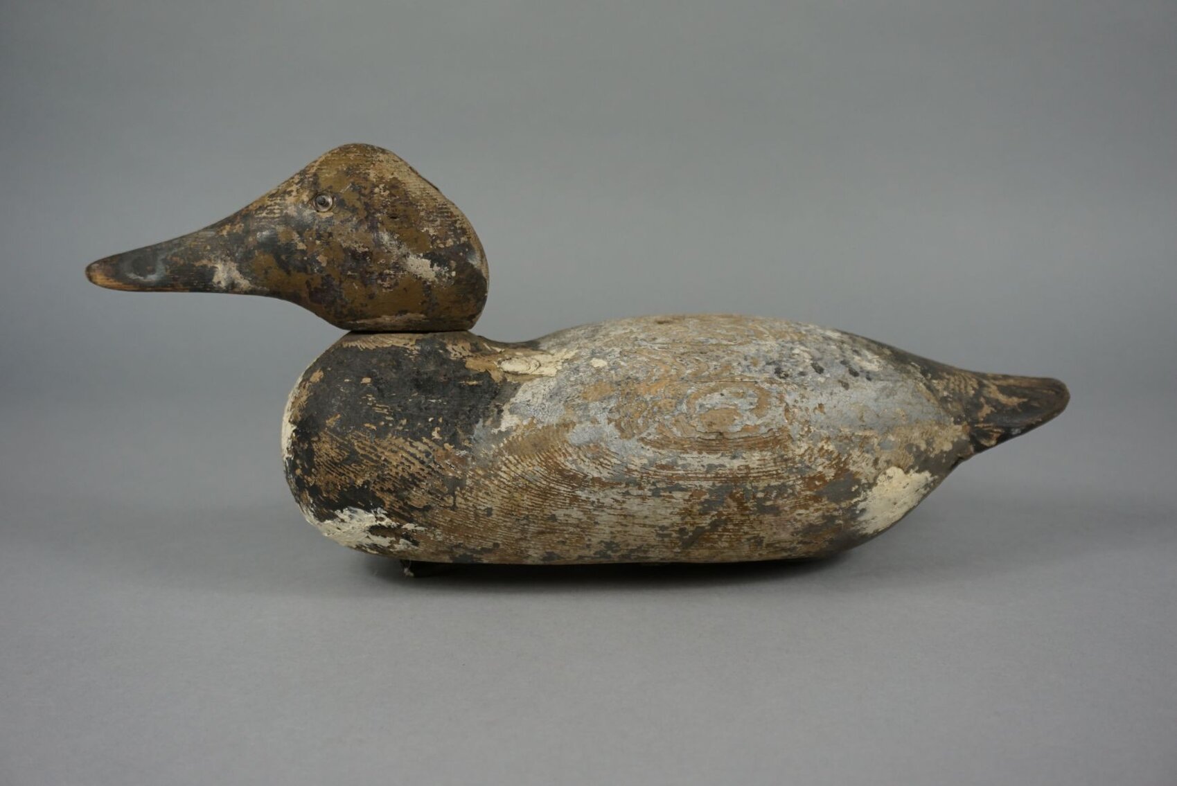 Image for June Online Sportsman's Auction 2023