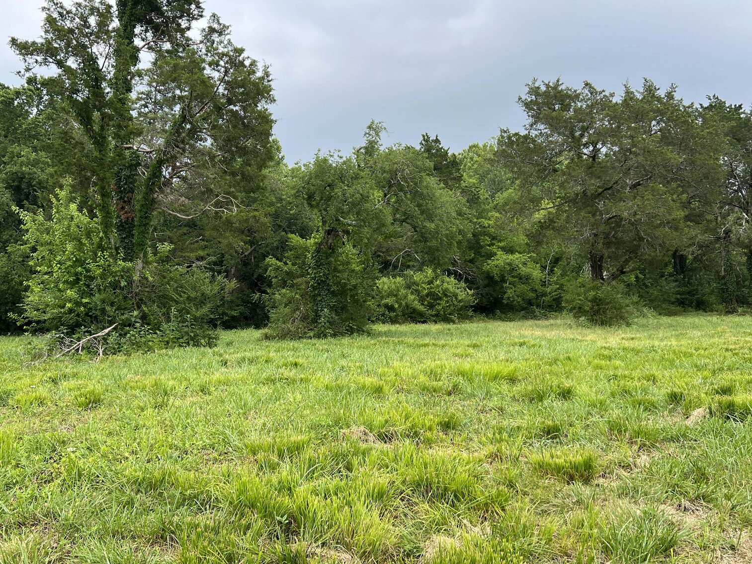 Image for 5350 Epps Mill Road, Christiana