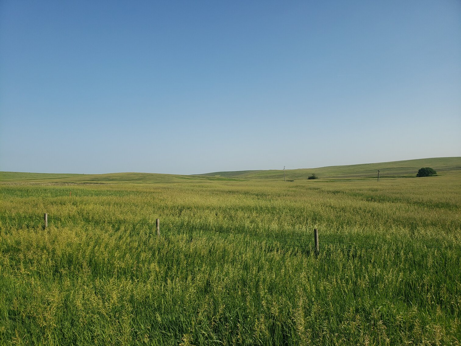 Image for 140+/- Acres in Gregory County, South Dakota