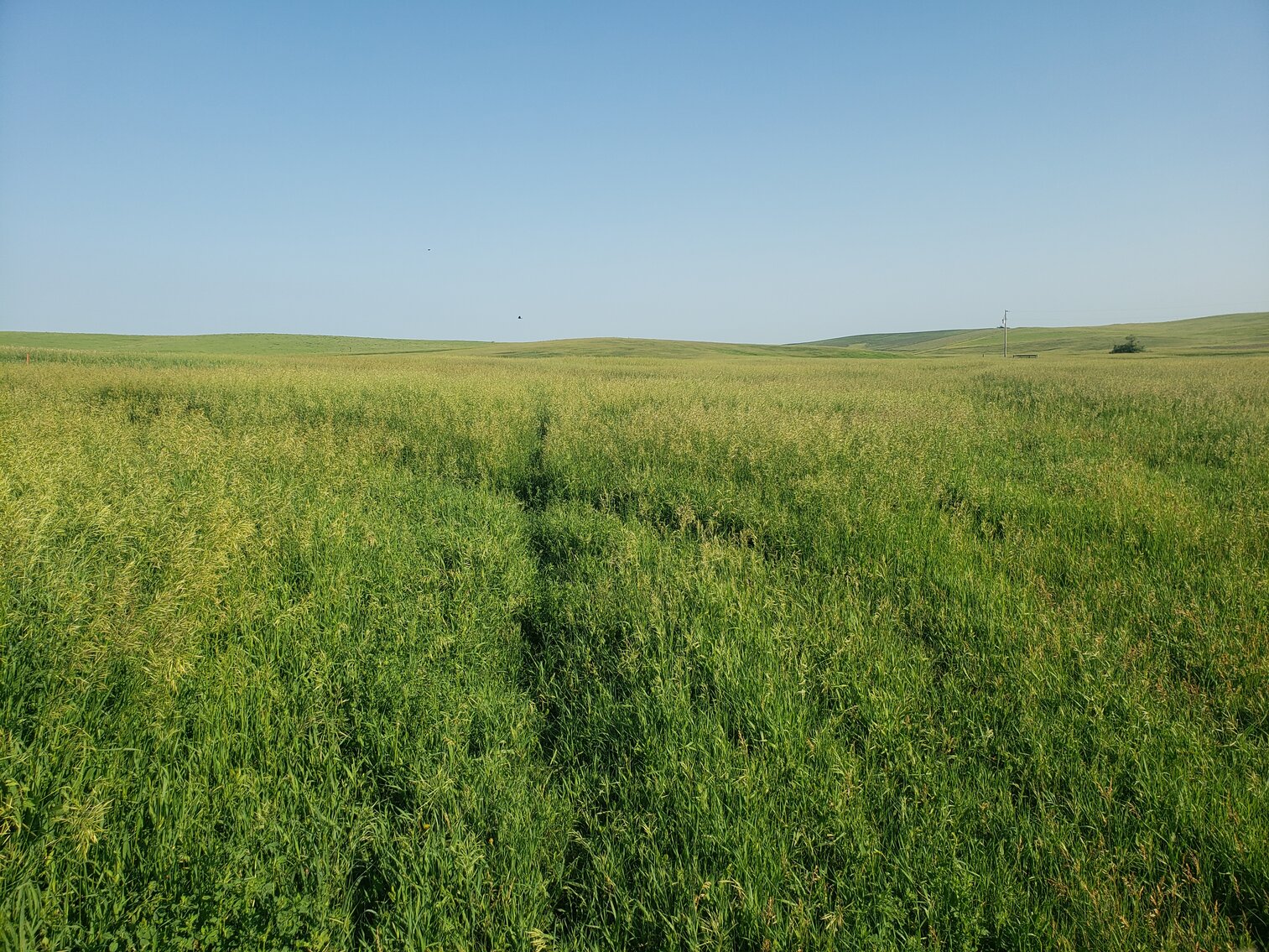 Image for 140+/- Acres in Gregory County, South Dakota