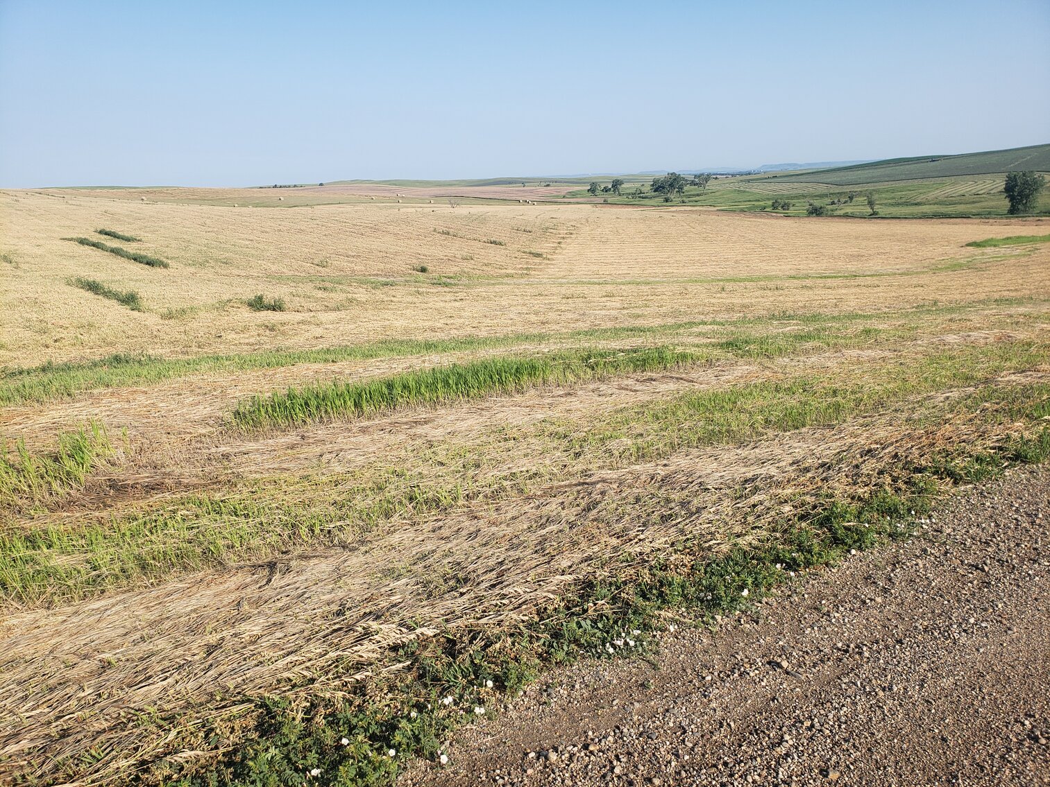 Image for 140+/- Acres in Gregory County, South Dakota