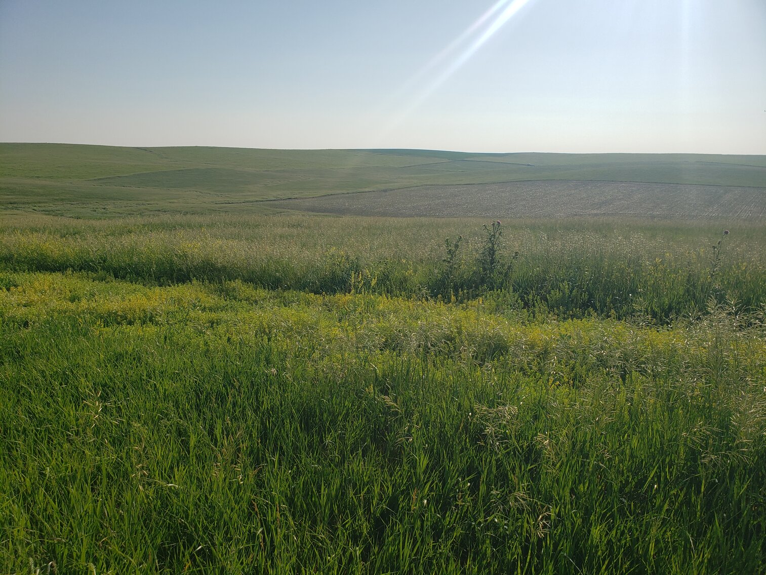 Image for 140+/- Acres in Gregory County, South Dakota