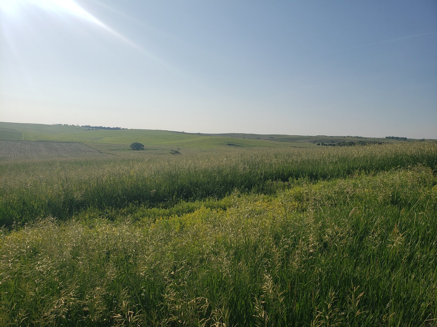Image for 140+/- Acres in Gregory County, South Dakota