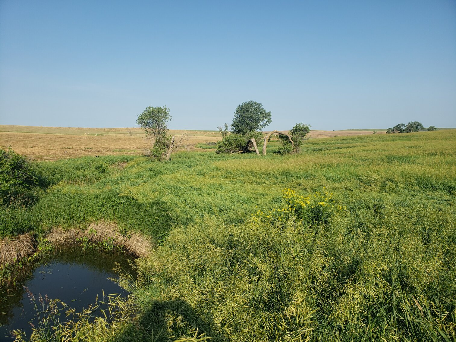 Image for 140+/- Acres in Gregory County, South Dakota