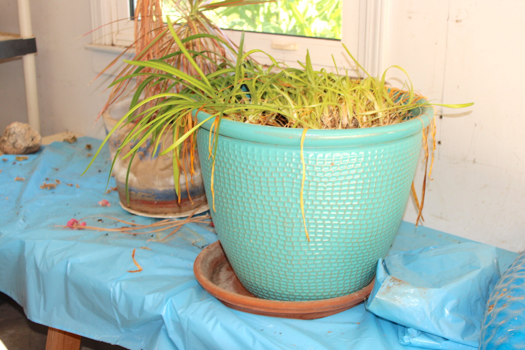 Image for LIVING ESTATE AUCTION