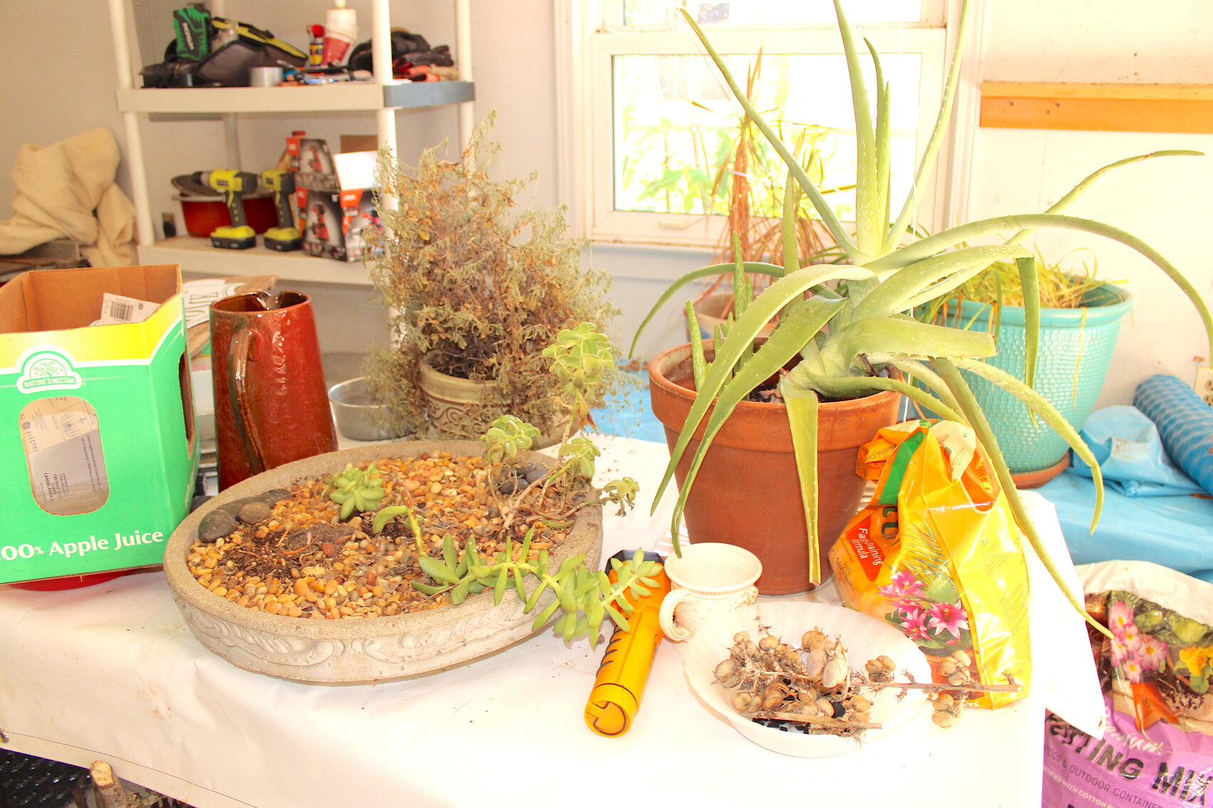 Image for LIVING ESTATE AUCTION