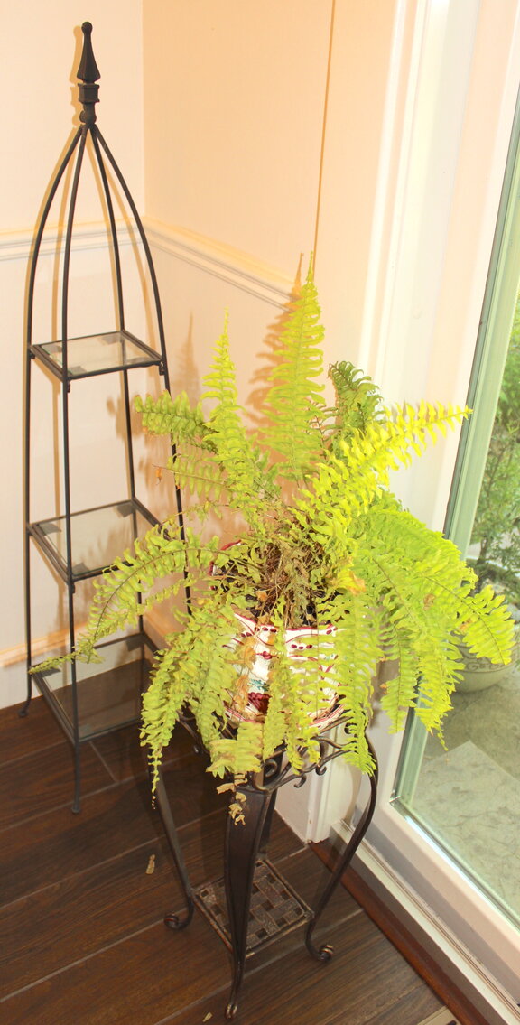 Image for LIVING ESTATE AUCTION