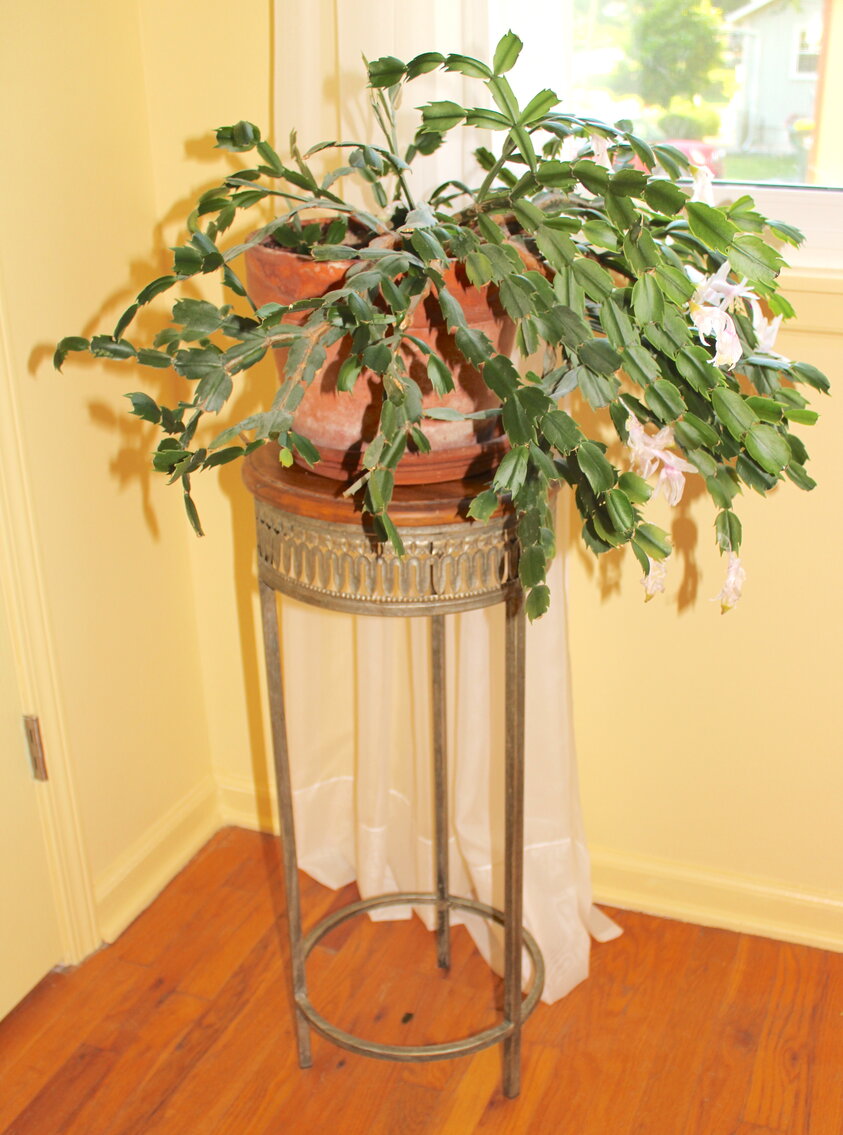 Image for LIVING ESTATE AUCTION