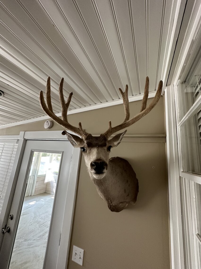 Image for 10926 Rockcastle Rd. Auction