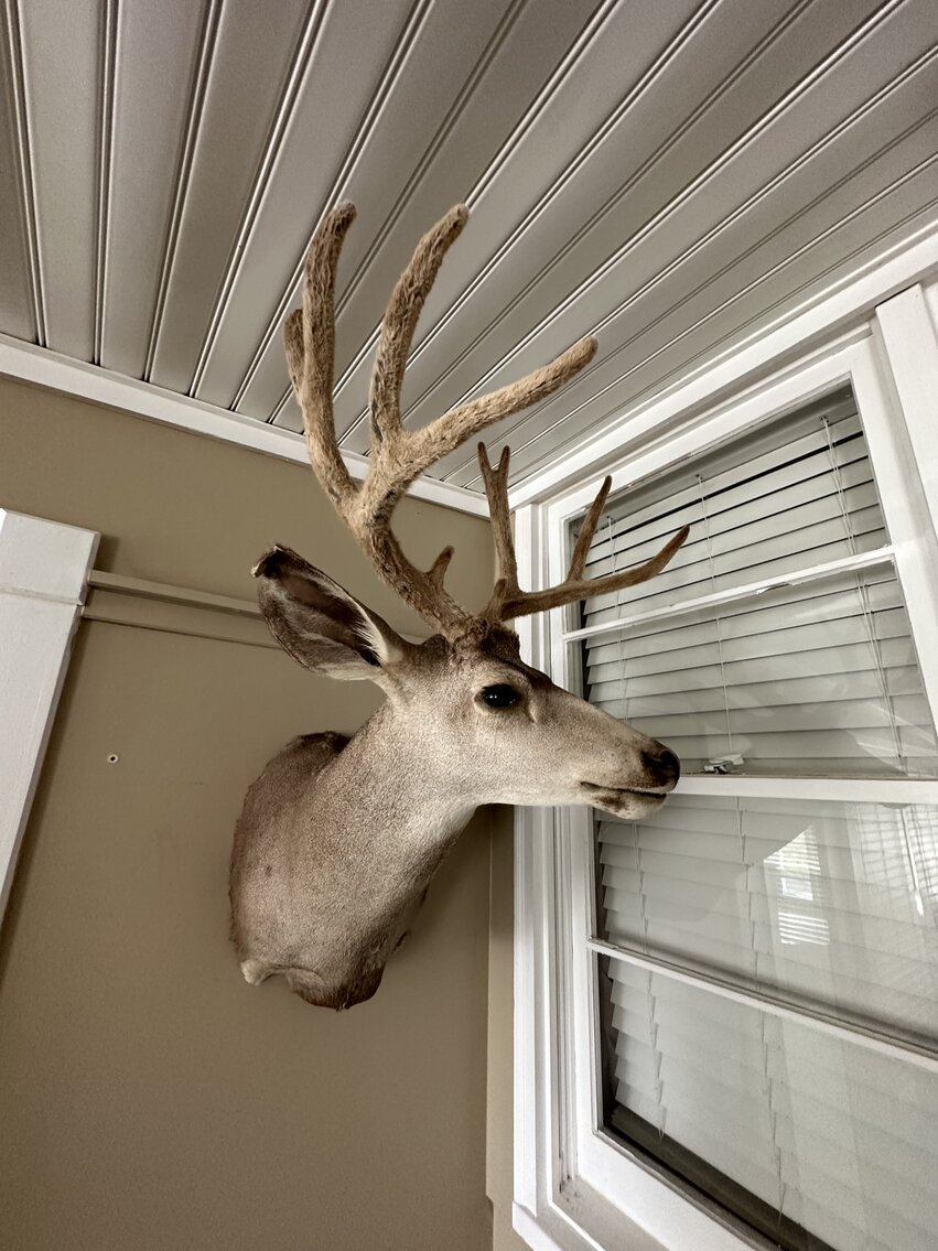 Image for 10926 Rockcastle Rd. Auction