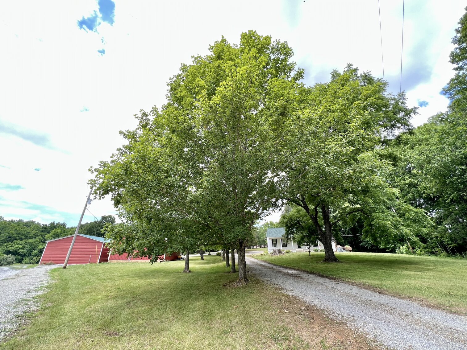 Image for 10926 Rockcastle Rd. Auction