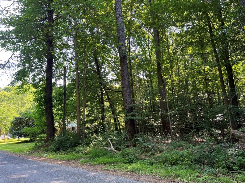 Image for Northumberland County, VA Sale of Tax Delinquent Real Estate