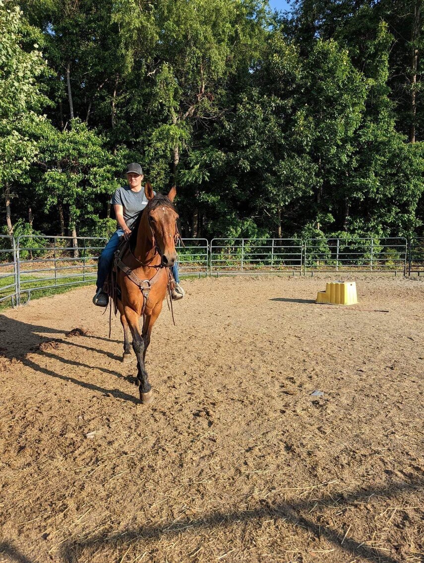 Image for BH Horse Co. June 24th Sale - Bedford, Pennsylvania