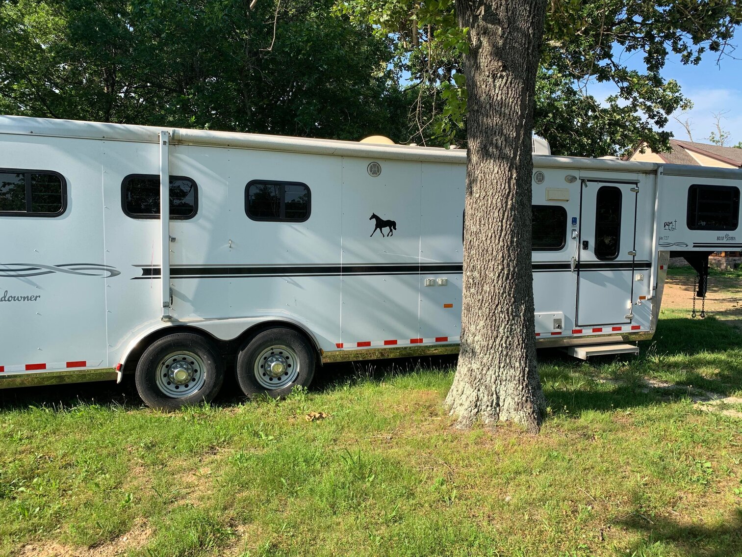 Missouri Horse Auction FRIDAY JUNE 30th Springfield, MO