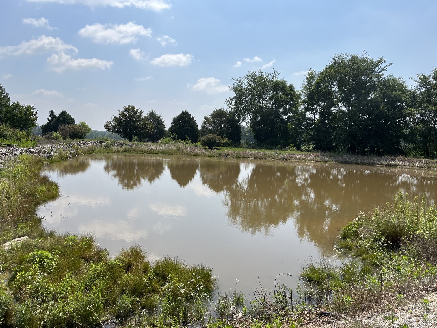 Image for Estate Auction, Real Estate & Personal Property, 848 Anna Sandhill Rd. Warren County KY