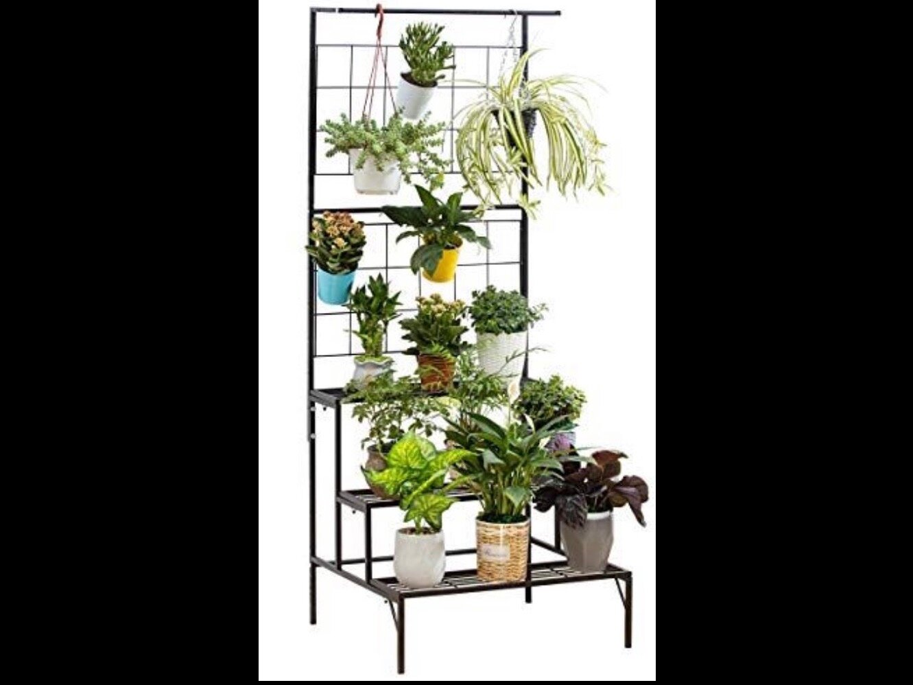 Image for July 13 Auction of Absolute Awesomeness!