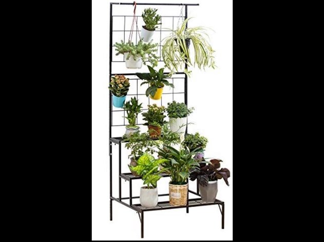 Image for July 13 Auction of Absolute Awesomeness!