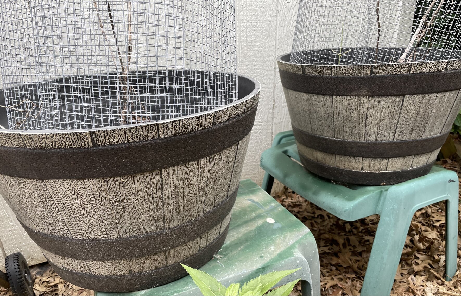 Three Plastic Barrel Planters