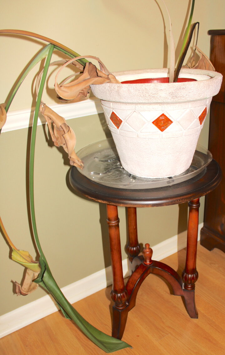 Image for LIVING ESTATE AUCTION