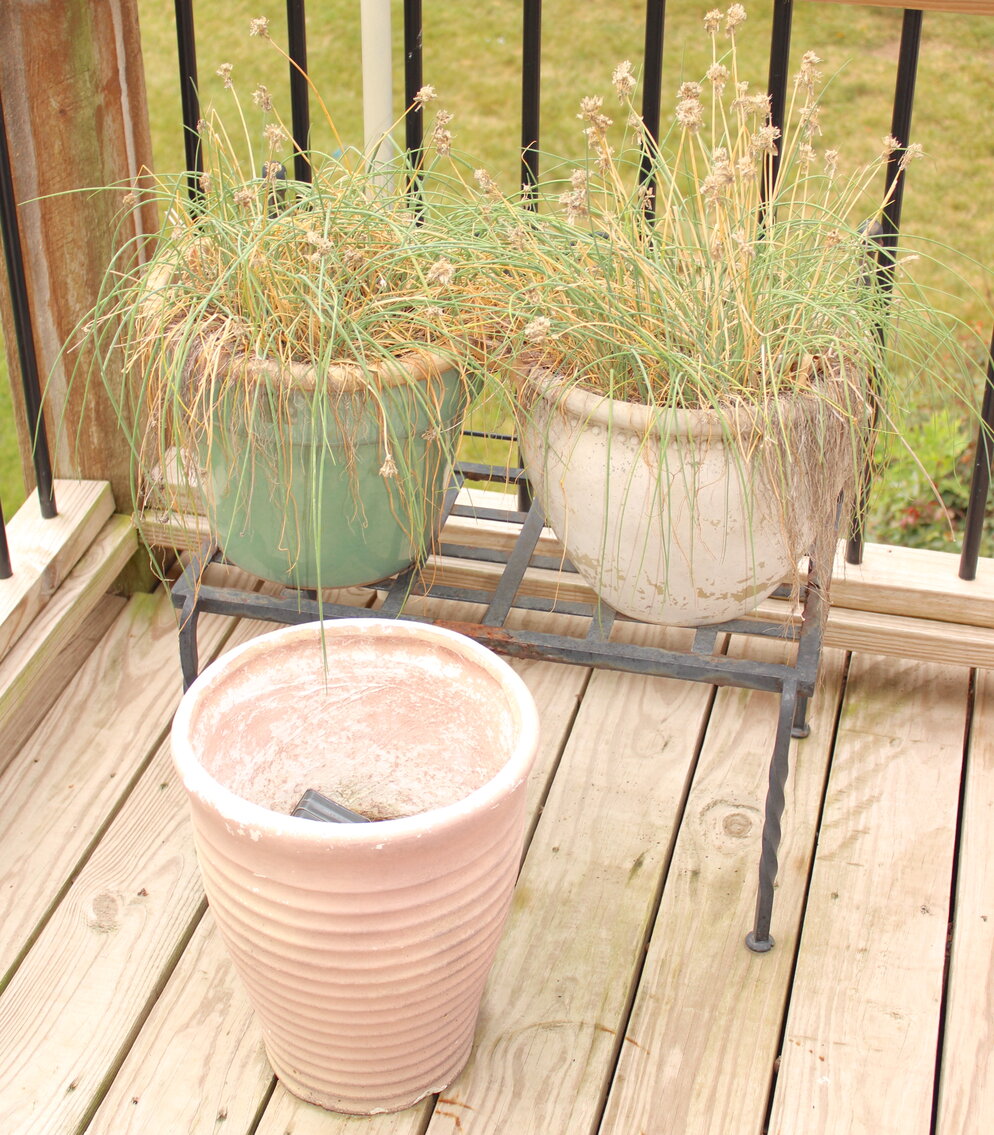 Image for LIVING ESTATE AUCTION