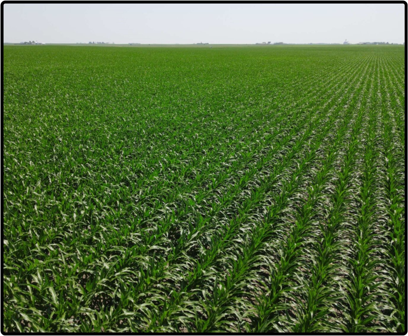 Image for Closed - Cerro Gordo Co., IA - 120.95 Ac., m/l (020-0529-01)