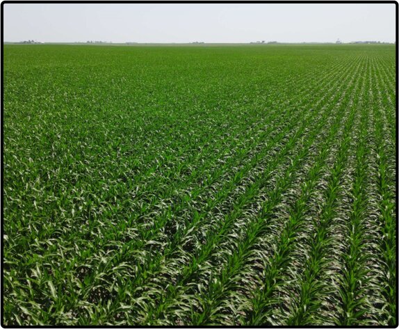 Image for Closed - Cerro Gordo Co., IA - 120.95 Ac., m/l (020-0529-01)