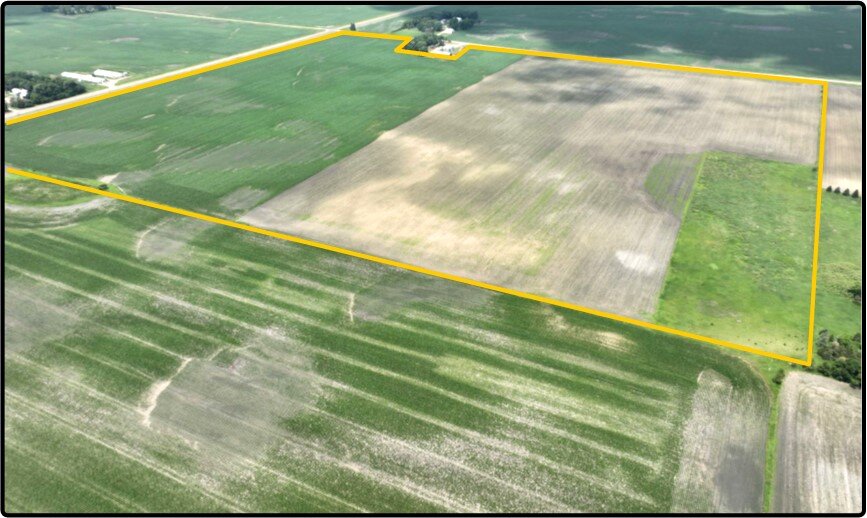 Image for Closed - Redwood Co., MN - 166.98 Ac., m/l (190-0184-01)