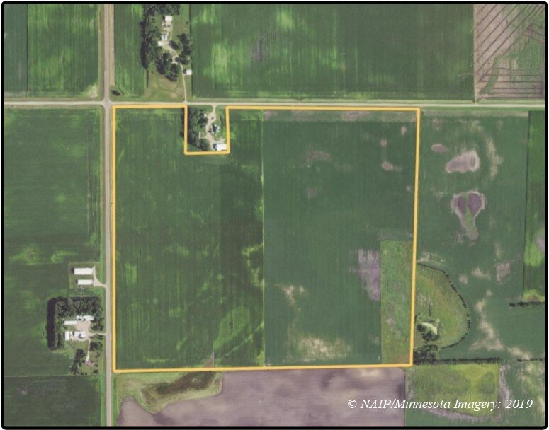 Image for Closed - Redwood Co., MN - 166.98 Ac., m/l (190-0184-01)