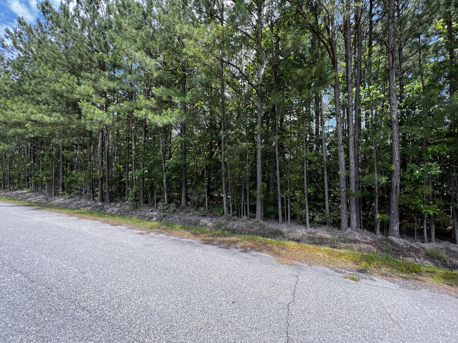 Image for Lot 4 - Diagonally Across from 108 Oak St., Jarratt