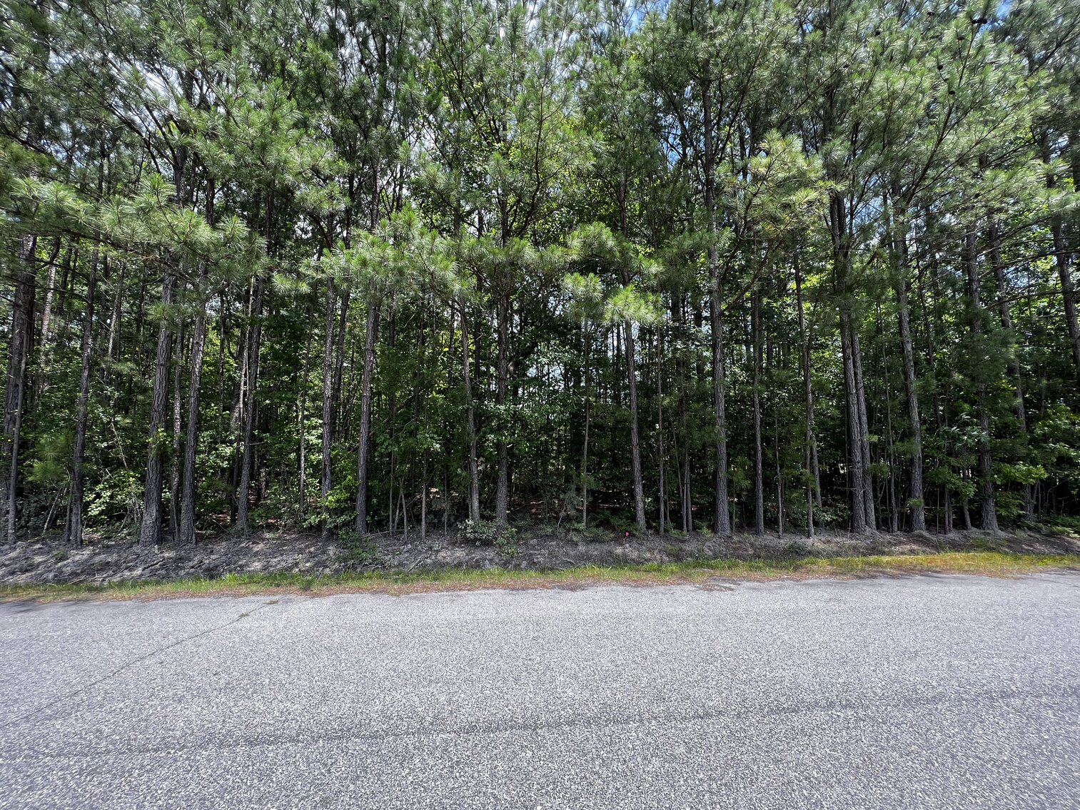 Image for Lot 4 - Diagonally Across from 108 Oak St., Jarratt