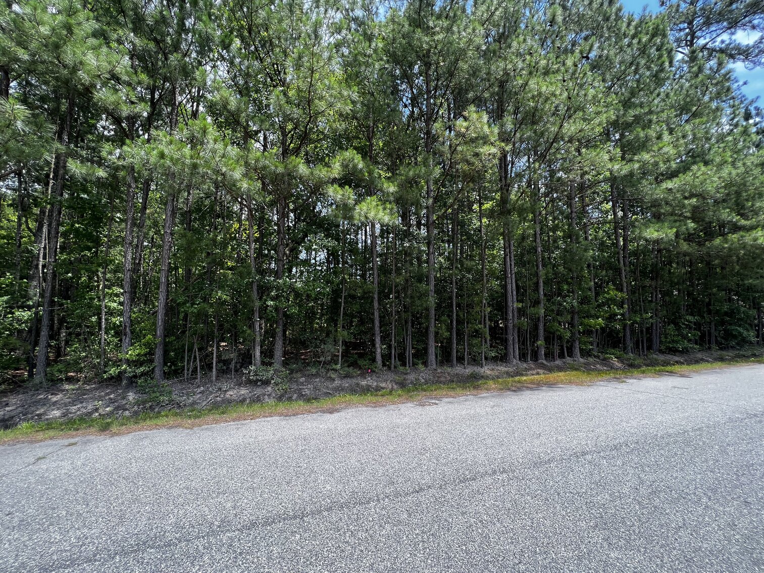 Image for Lot 4 - Diagonally Across from 108 Oak St., Jarratt