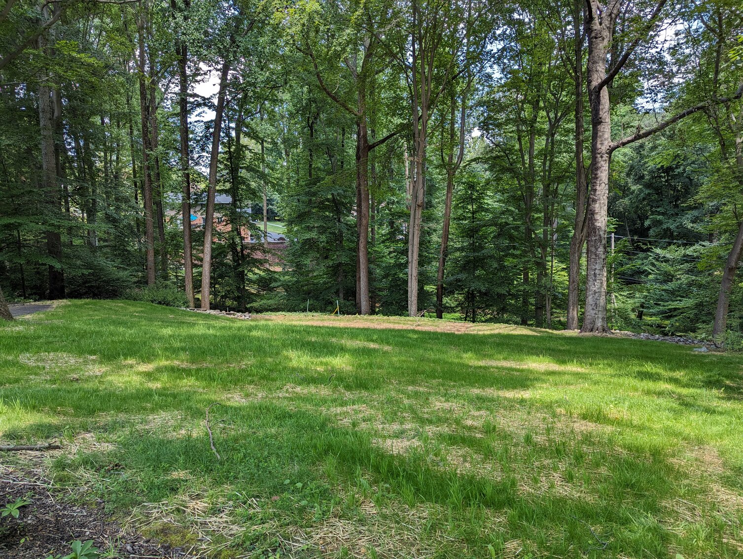 Image for 0.77+/- ACRE LOT END OF COURT LOCATION IN GLENWOOD NEIGHBORHOOD W/ PUBLIC WATER