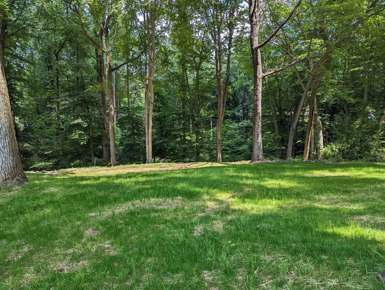 Image for 0.77+/- ACRE LOT END OF COURT LOCATION IN GLENWOOD NEIGHBORHOOD W/ PUBLIC WATER
