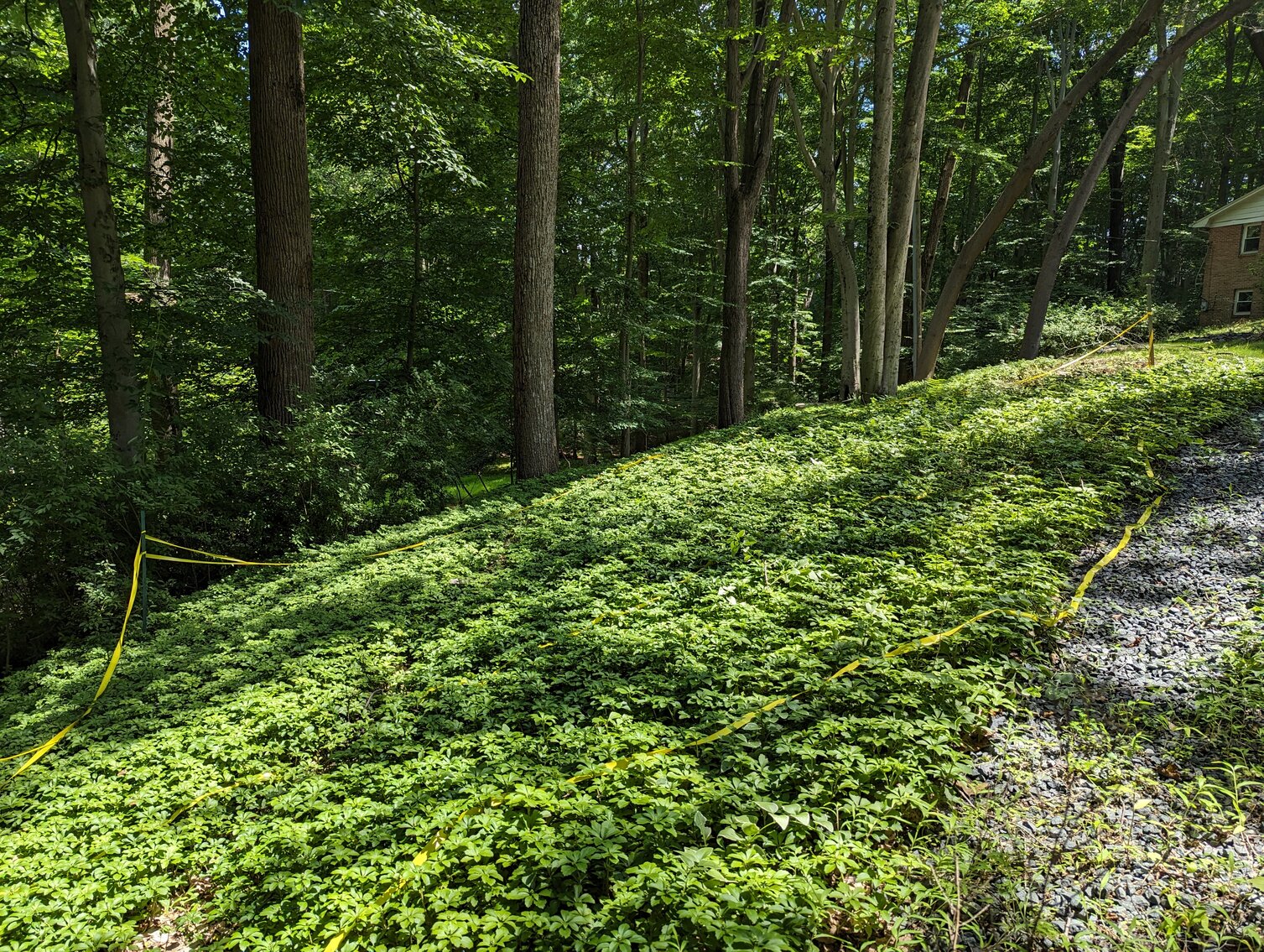 Image for 0.77+/- ACRE LOT END OF COURT LOCATION IN GLENWOOD NEIGHBORHOOD W/ PUBLIC WATER