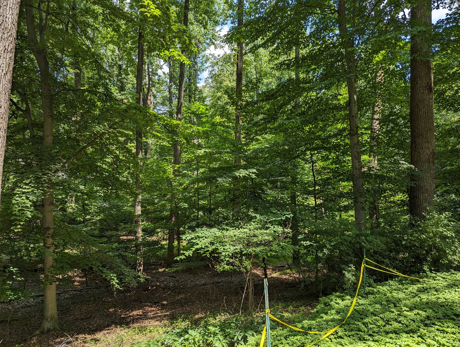 Image for 0.77+/- ACRE LOT END OF COURT LOCATION IN GLENWOOD NEIGHBORHOOD W/ PUBLIC WATER