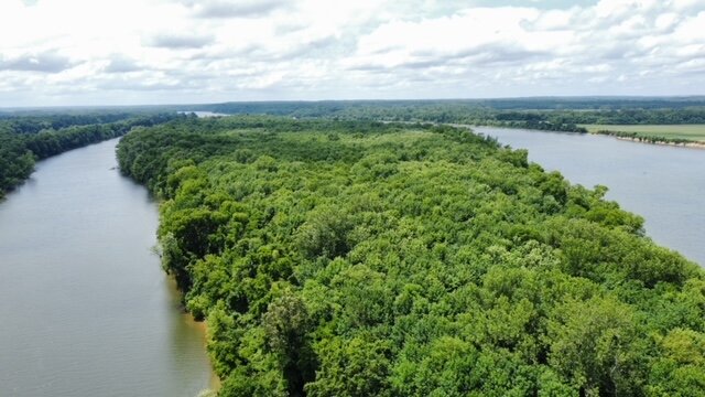 Image for Diamond Island - 161 acre island on the Tennessee River in Hardin County, TN