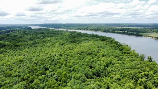 Image for Diamond Island - 161 acre island on the Tennessee River in Hardin County, TN