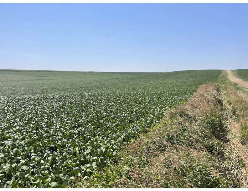 Image for 140+/- Acres in Wayne County, NE