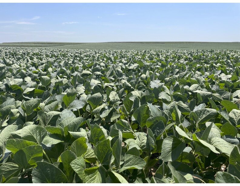 Image for 140+/- Acres in Wayne County, NE