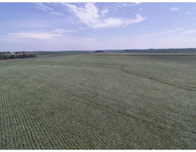 Image for 140+/- Acres in Wayne County, NE