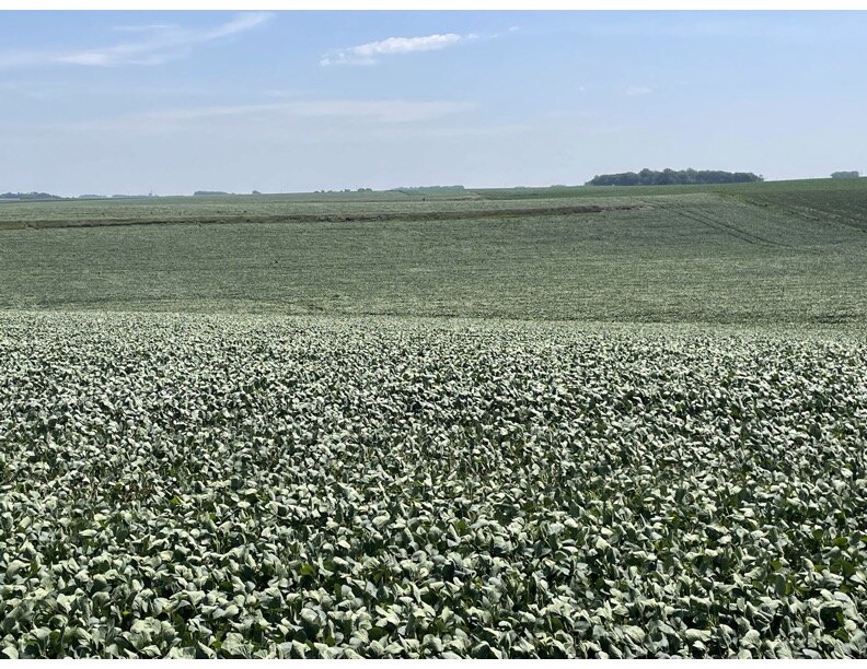 Image for 140+/- Acres in Wayne County, NE